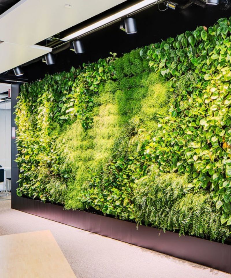 GREEN WALLS