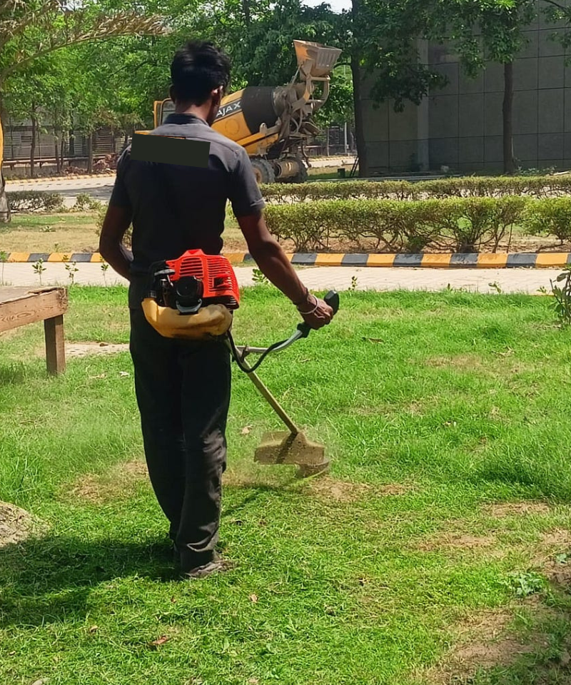 HORTICULTURE LANDSCAPING SERVICES
